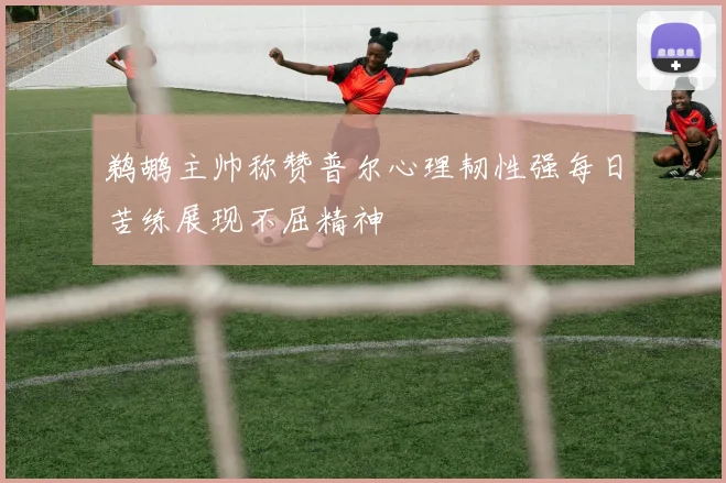 鹈鹕主帅称赞普尔心理韧性强每日苦练展现不屈精神