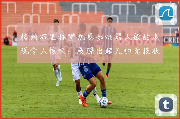 格纳布里称赞凯恩如机器人般的表现令人惊叹，展现出超凡的竞技状态