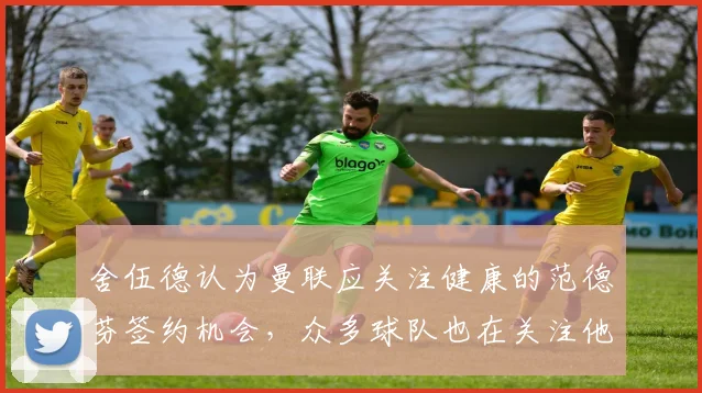 舍伍德认为曼联应关注健康的范德芬签约机会，众多球队也在关注他